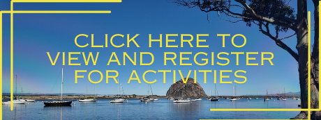 View and register (1)