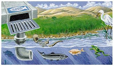 illicit discharge image_thumb.jpg