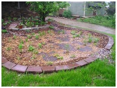 rain garden image2.jpg