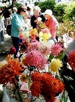 Garry Johnson Dahlia Day